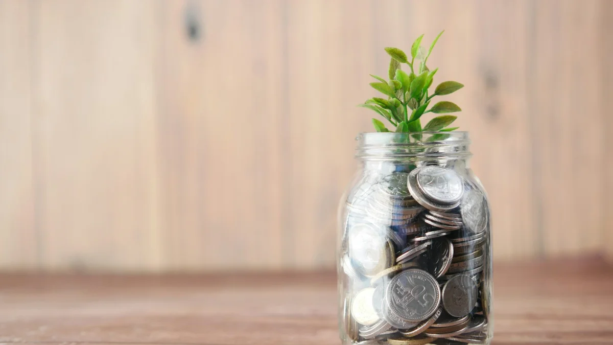 Fonduri de investiții în stomatologie: cum finanțează Private Equity și Venture Capital extinderea clinicilor dentare din România