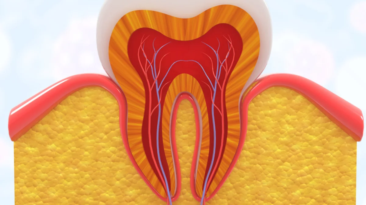 AI în endodonție: poate prezice rezultatul pulpotomiei?
